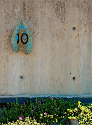 DSC_3006_2.jpg