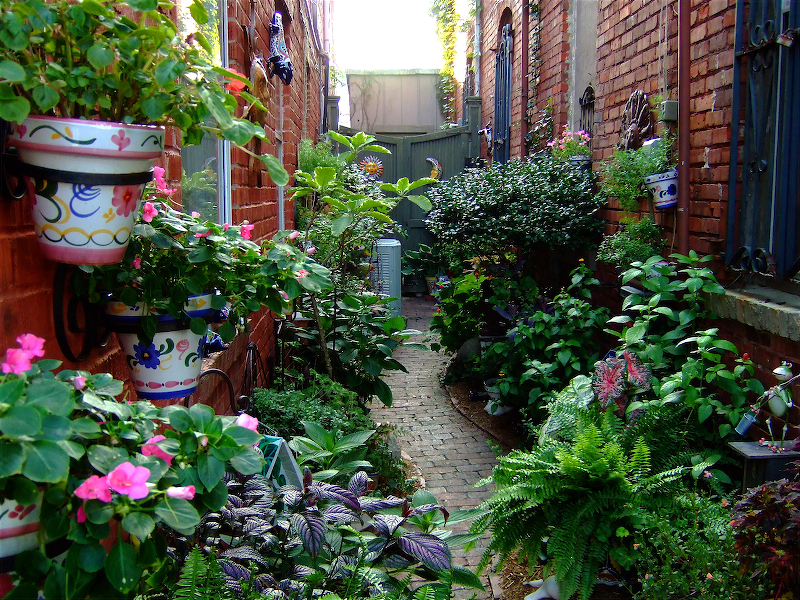 DSCF0202_2.JPG
