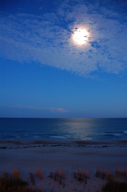 DSC_2684_2.JPG