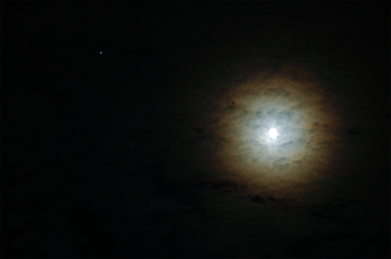 DSC_2690_2.JPG